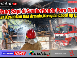 Kandang Sapi di Sumberbendo Pare Terbakar, Damkar Kerahkan Dua Armada, Kerugian Capai Rp1,5 Juta