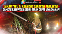 Lahan Tebu di Tarokan Terbakar, Damkar Kabupaten Kediri Bergerak Cepat Jinakkan Api