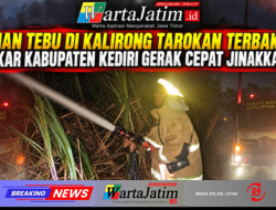 Lahan Tebu di Tarokan Terbakar, Damkar Kabupaten Kediri Bergerak Cepat Jinakkan Api