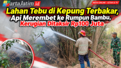 Lahan Tebu di Kepung Terbakar, Api Merembet ke Rumpun Bambu, Kerugian Ditaksir Rp100 Juta