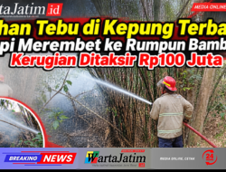 Lahan Tebu di Kepung Terbakar, Api Merembet ke Rumpun Bambu, Kerugian Ditaksir Rp100 Juta