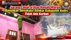 Sarang Lebah di Atap Rumah Warga Banyakan Dievakuasi Damkar Kabupaten Kediri, Tidak Ada Korban