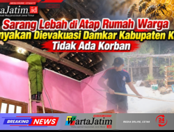 Sarang Lebah di Atap Rumah Warga Banyakan Dievakuasi Damkar Kabupaten Kediri, Tidak Ada Korban