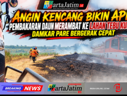 Angin Kencang Bikin Api Pembakaran Daun Merambat ke Lahan Tebu Kunjang, Damkar Pare Bergerak Cepat