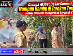 Diduga Akibat Bakar Sampah, Rumpun Bambu di Tarokan Terbakar! Polisi Bersama Masyarakat Bergerak Cepat