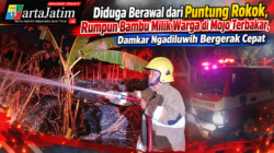 Diduga Berawal dari Puntung Rokok, Rumpun Bambu Milik Warga di Mojo Terbakar, Damkar Ngadiluwih Bergerak Cepat