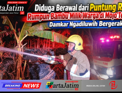 Diduga Berawal dari Puntung Rokok, Rumpun Bambu Milik Warga di Mojo Terbakar, Damkar Ngadiluwih Bergerak Cepat