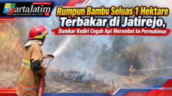 Rumpun Bambu Seluas 1 Hektare Terbakar di Jatirejo, Damkar Kediri Cegah Api Merembet ke Permukiman