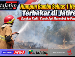 Rumpun Bambu Seluas 1 Hektare Terbakar di Jatirejo, Damkar Kediri Cegah Api Merembet ke Permukiman